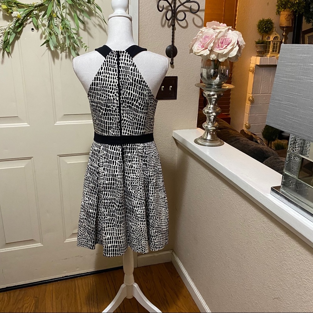 Zola' Print Cotton Fit & Flare Dress By TRINA TURK - Picture 12 of 16